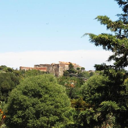Magnifique Appartement Proche Centre Collioure Luaran gambar