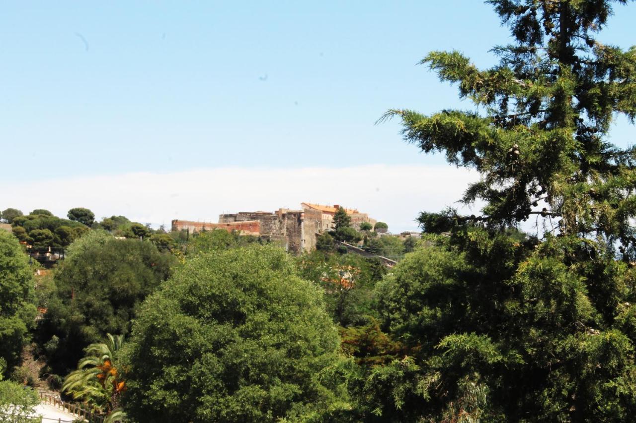 Magnifique Appartement Proche Centre Collioure Luaran gambar